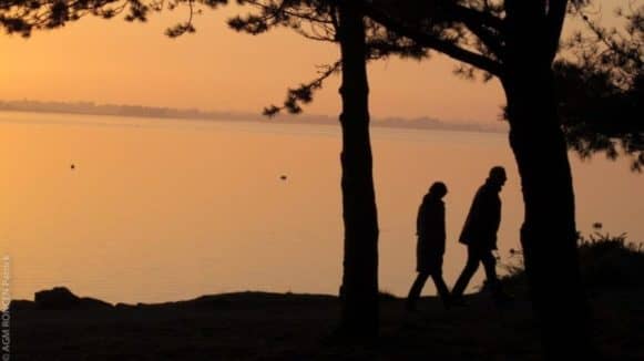 Lire la suite à propos de l’article Loi Littoral….