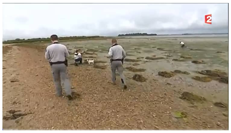 You are currently viewing Police de l’environnement – Golfe du Morbihan